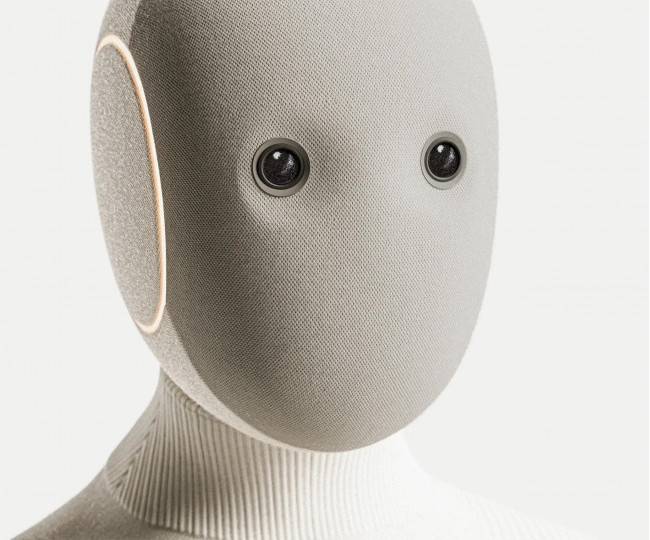 Робот-гуманоїд для домашнього використання NEO Home Robot